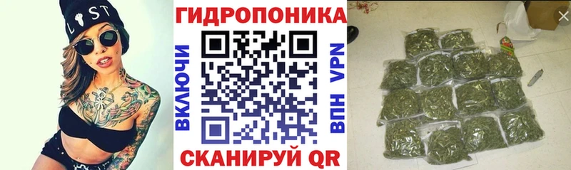 Канабис MAZAR  Купить где  Новошахтинск 